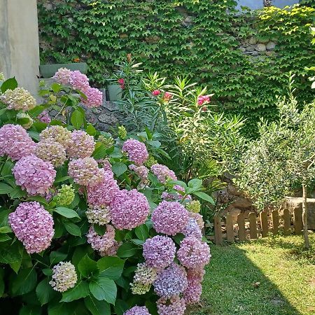 Les Glycines Bed & Breakfast Le Vigan  Bagian luar foto